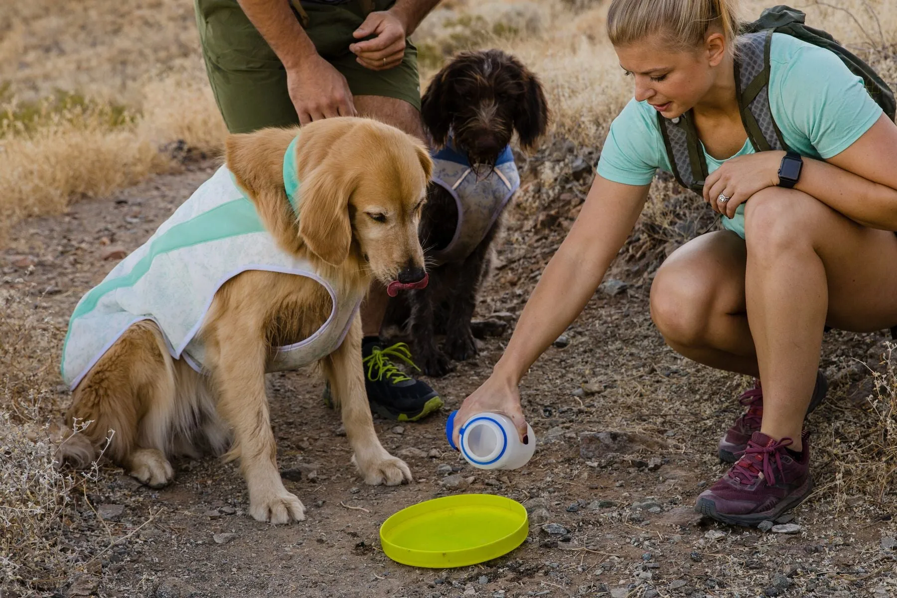 Ruffwear Swamp Cooler