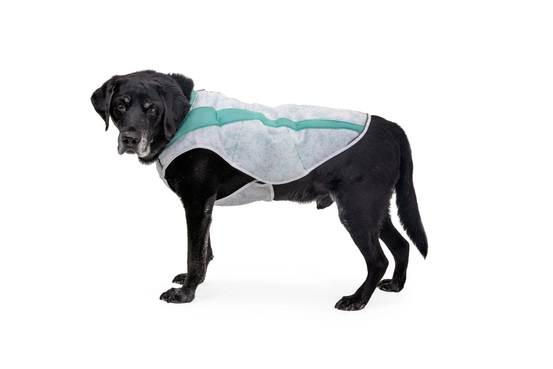 Ruffwear Swamp Cooler