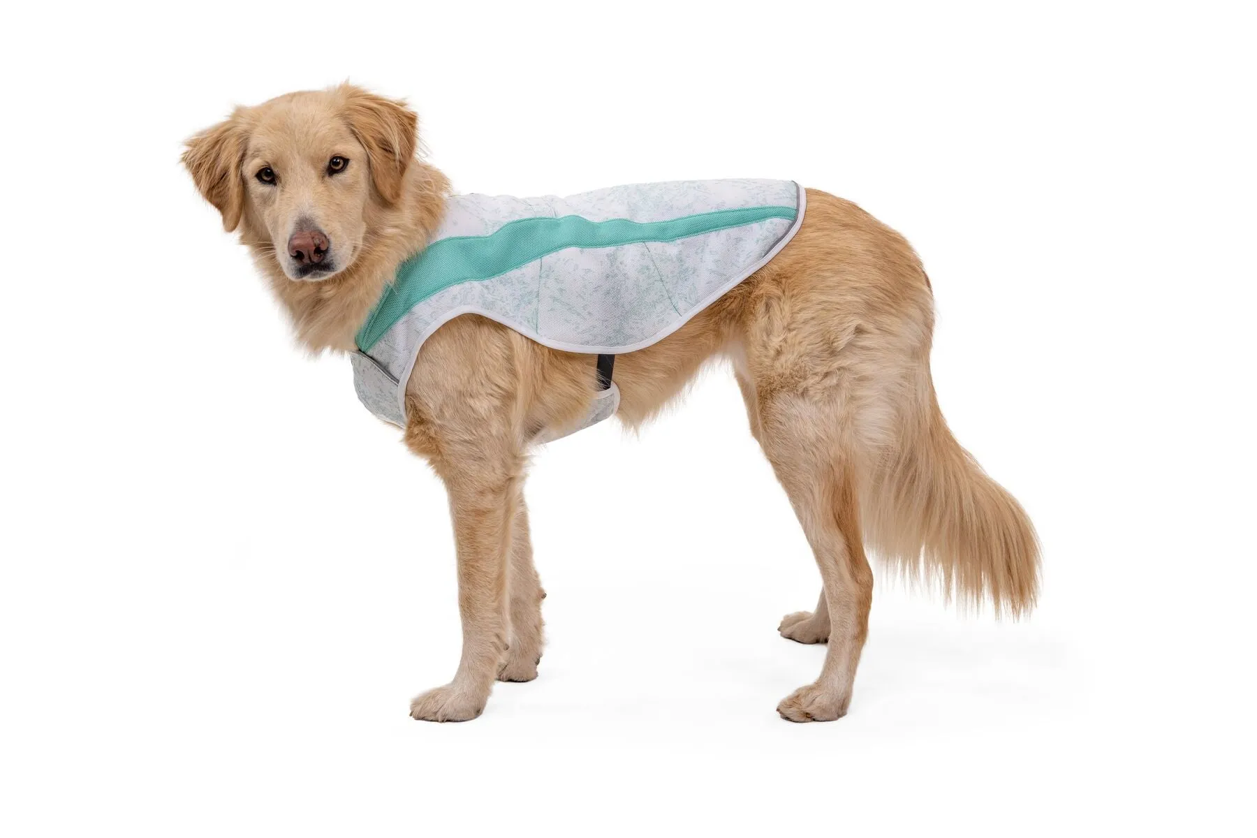 Ruffwear Swamp Cooler