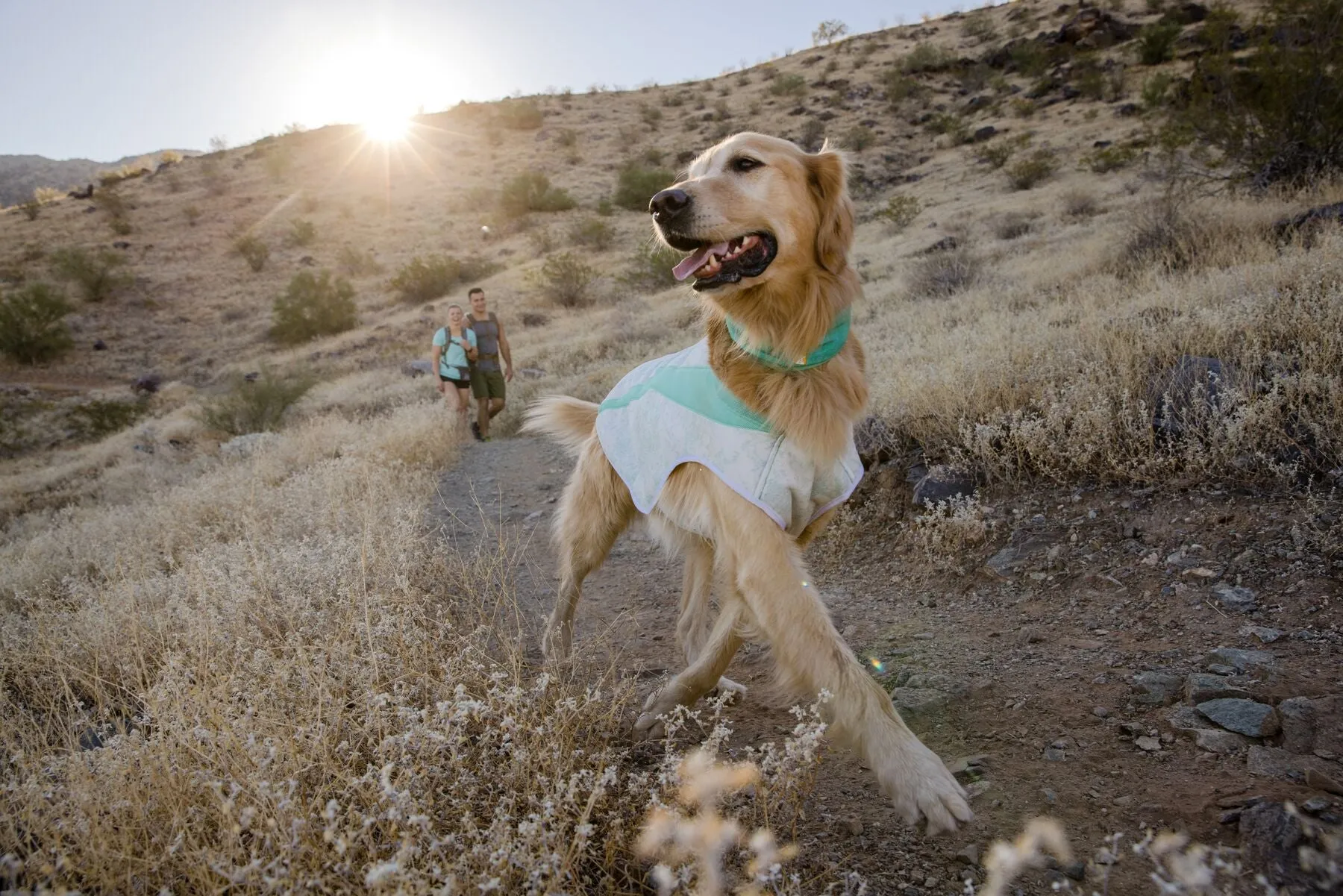 Ruffwear Swamp Cooler