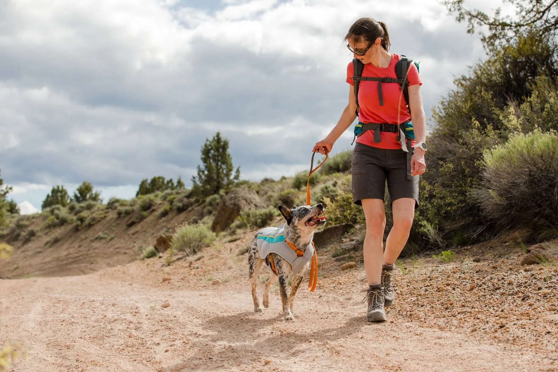 Ruffwear Swamp Cooler